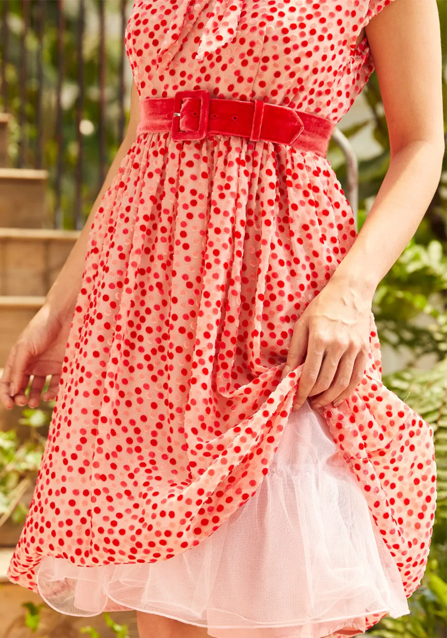 Confetti Confection Fit And Flare Dress
