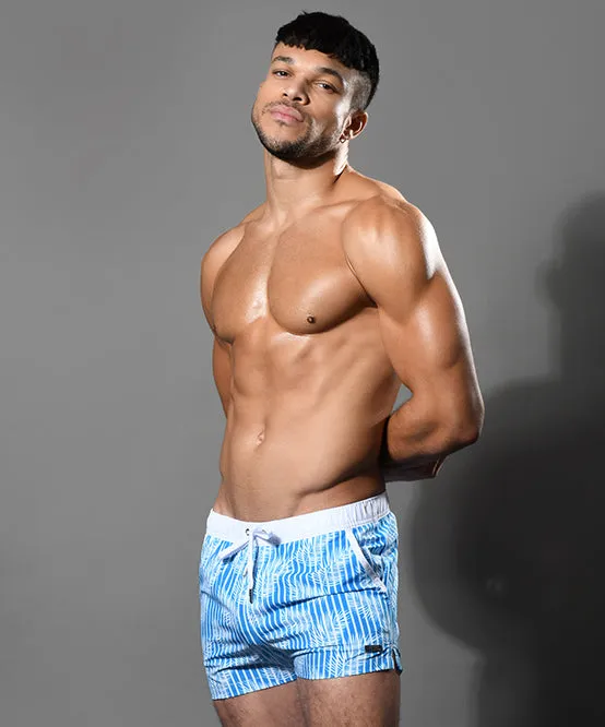 Holiday Swim Shorts