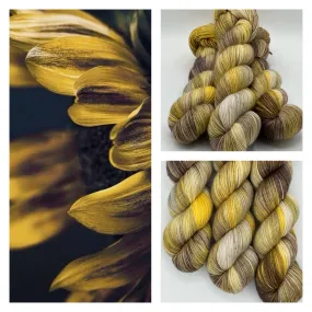 The Midnight Sunflower