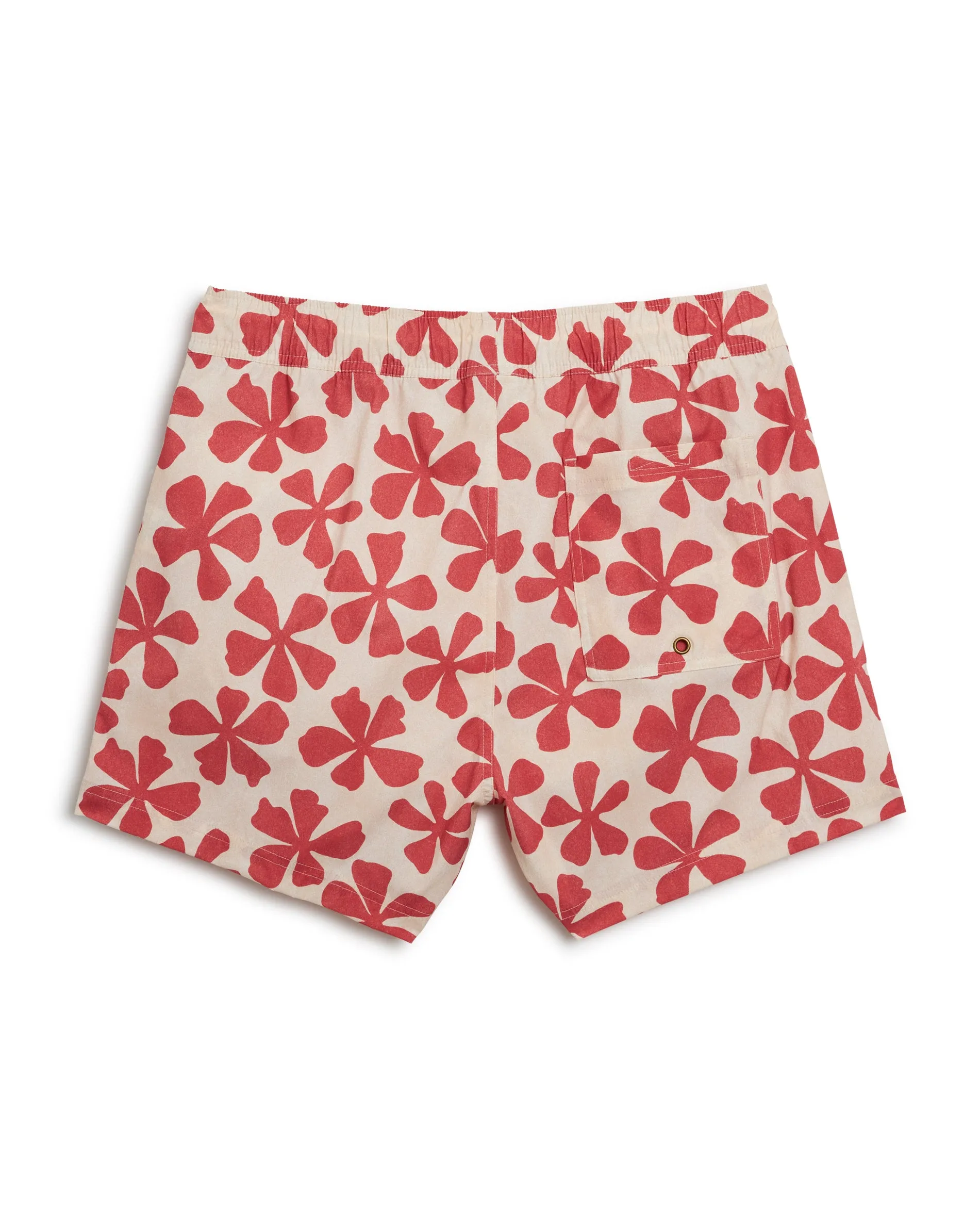 The Ventura Volley Short - Currant